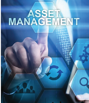 asset